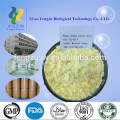high quality alpha lipoic acid powder,alpha lipoic acid99%